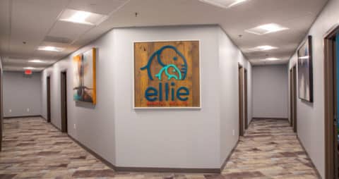 Ellie Mental Health Atlanta Sandy Springs Clinic