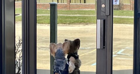 Ellie Mental Health Clinton Township, MI Clinic Front Door