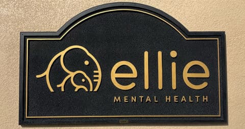 Tampa-Westchase Florida Ellie Mental Health Clinic
