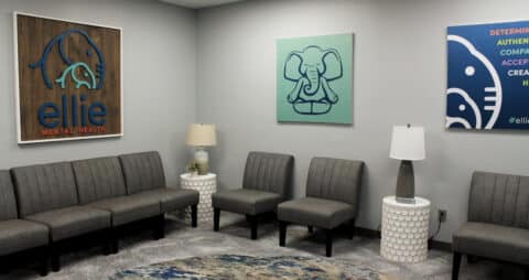 Ellie Mental Health Birmingham Mountain Brook, AL Clinic Lobby