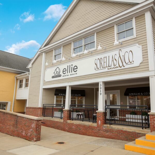 Rochester, NY Mental Health Clinic Ellie Mental Health