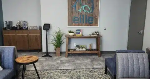 Ellie Mental Health Copperfield, TX Clinic Lobby