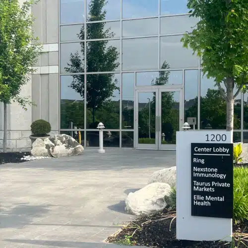 Malvern Pennsylvania Therapy Ellie Mental Health