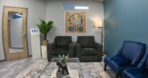Ellie Mental Health Fredericksburg, VA Clinic Lobby