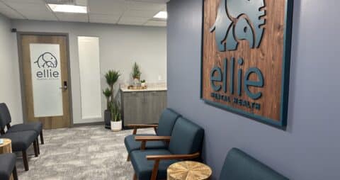 Ellie Mental Health Manhasset Great Neck, NY Clinic Lobby