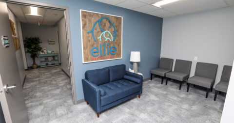 Ellie Mental Health Latham, NY Clinic Lobby 2
