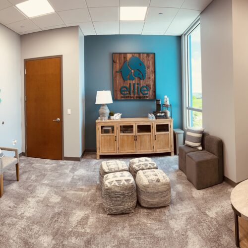 Ellie Mental Health Fort Myers Hope Center Loop, FL Clinic Lobby