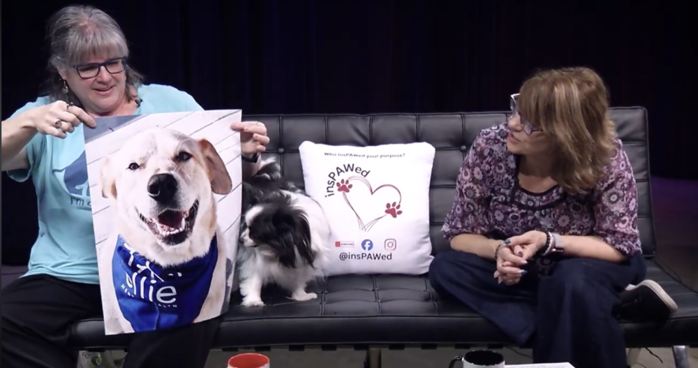 Ellie Mental Health Clinic Director Deb Madera discussing canine-assisted therapy