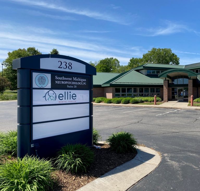 Holland MI Building