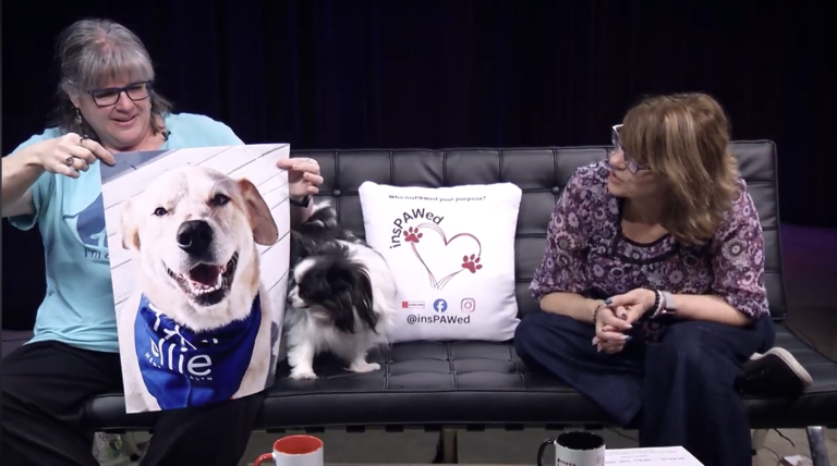 Ellie Mental Health Clinic Director Deb Madera discussing canine-assisted therapy