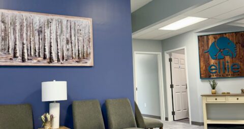 Ellie Mental Health Glens Falls, NY Clinic Lobby